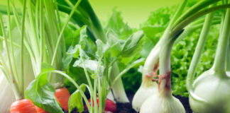 La posizione degli ortaggi nell’orto 592 0 064 La posizione degli ortaggi nell orto